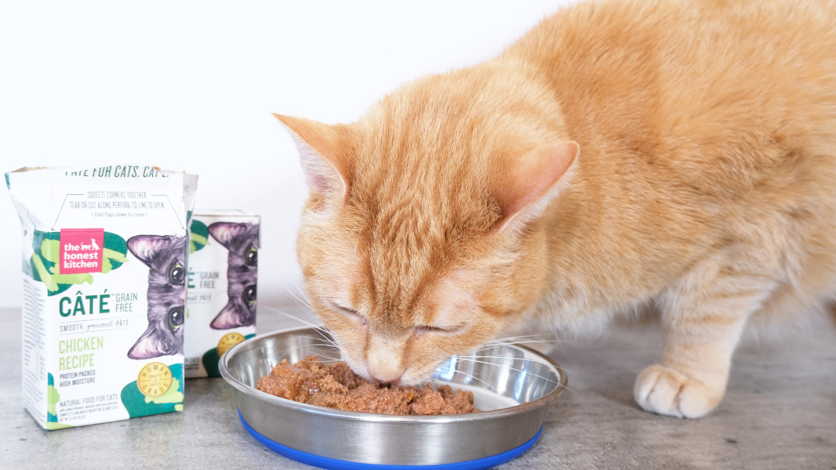 Temptations Dry Cat Food: A Review for Discerning Cat Owners插图1