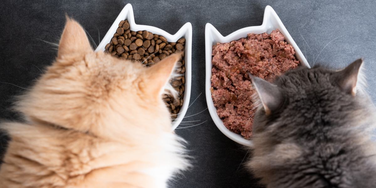 Mixing Wet and Dry Cat Food: A Guide with a Helpful Calculator插图3