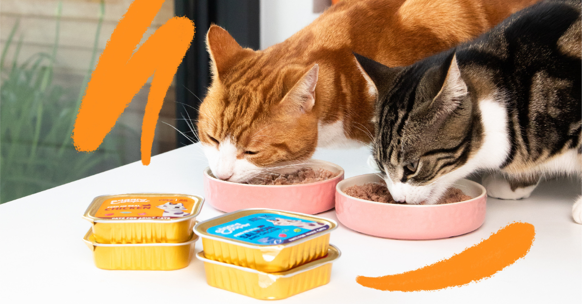 Moist vs Dry Cat Food: Choosing the Best for Your Feline Friend插图4