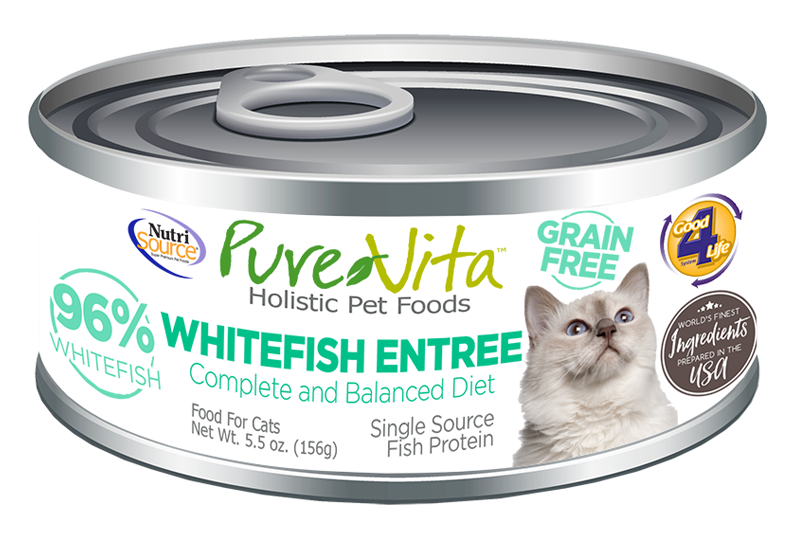 Diving into Fish-Free Feasts: A Guide to Alternative Cat Cuisine插图2