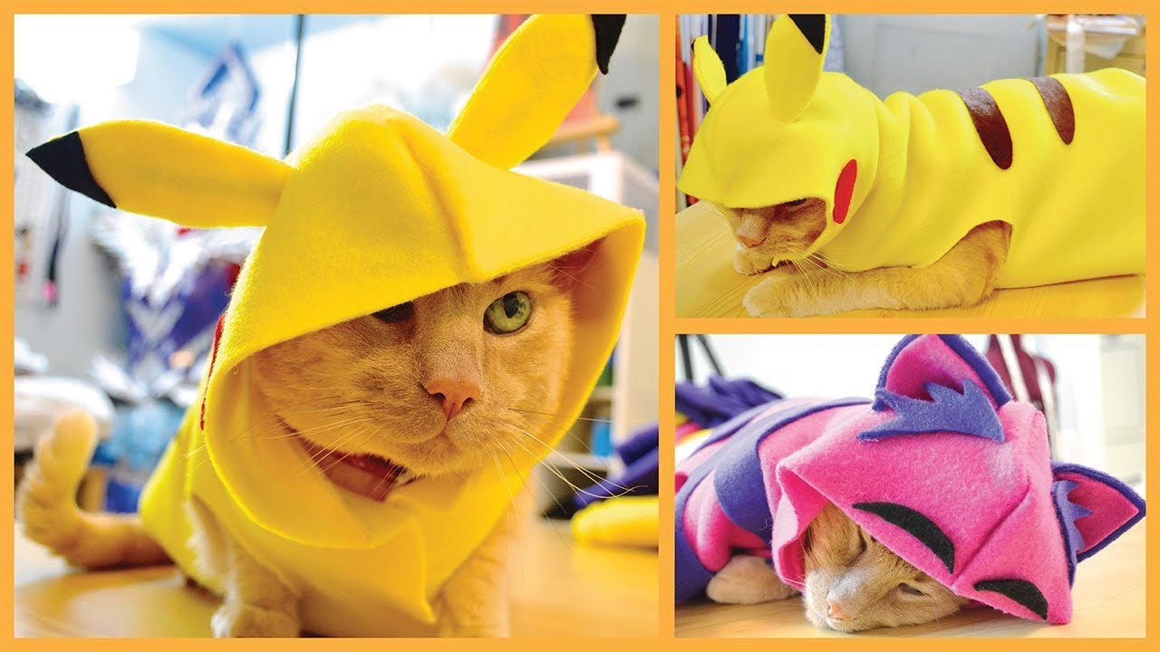 pikachu cat costume