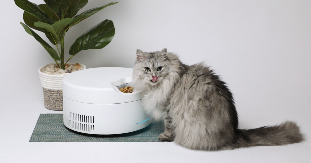 Keeping it Cool: A Guide to Refrigerated Wet Cat Food Dispensers插图1