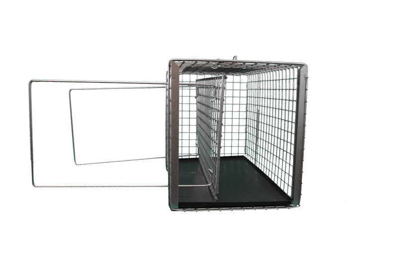 cat squeeze cage