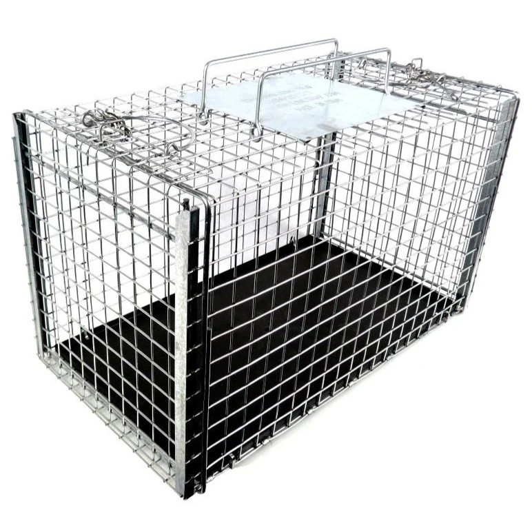 cat squeeze cage