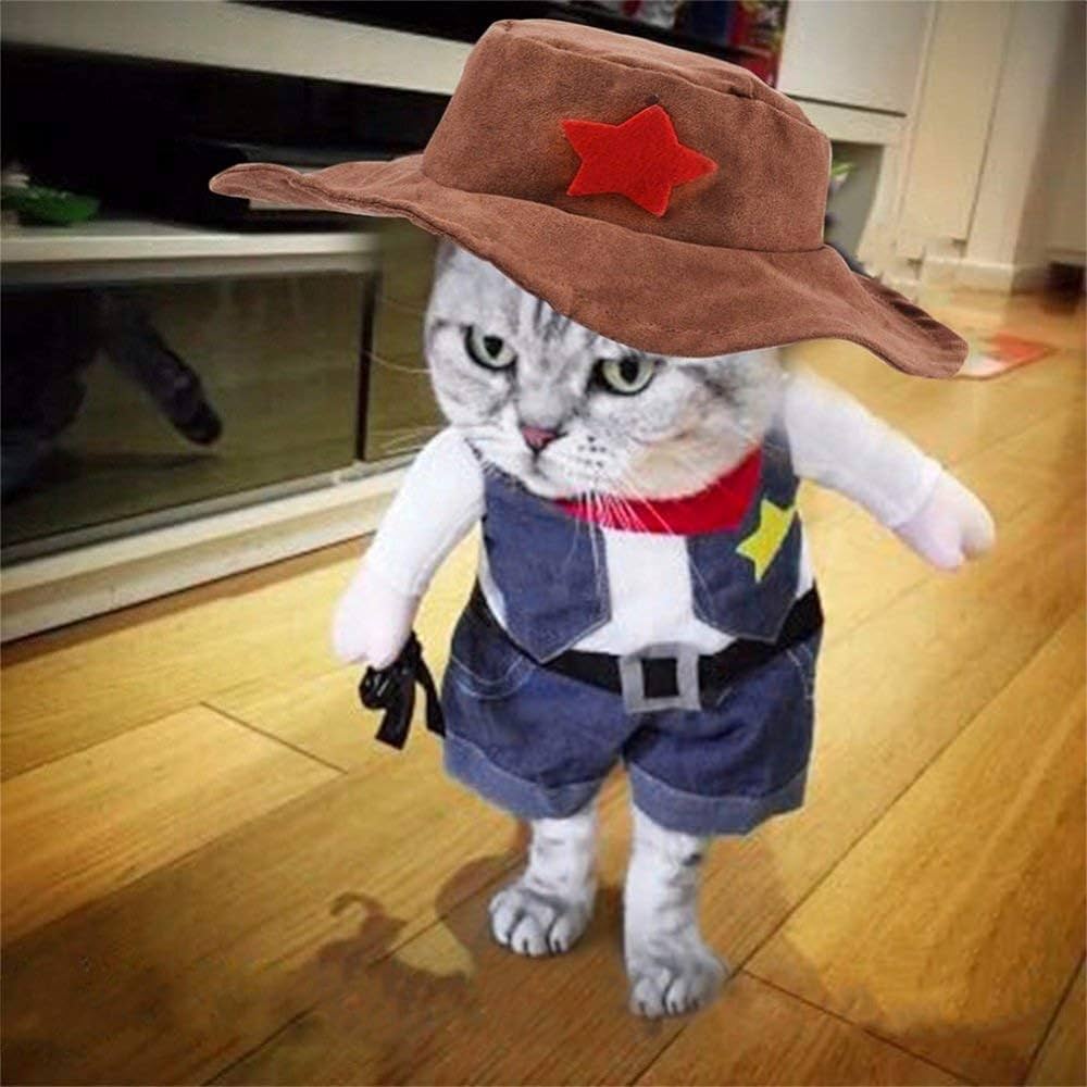 cowboy costume cat