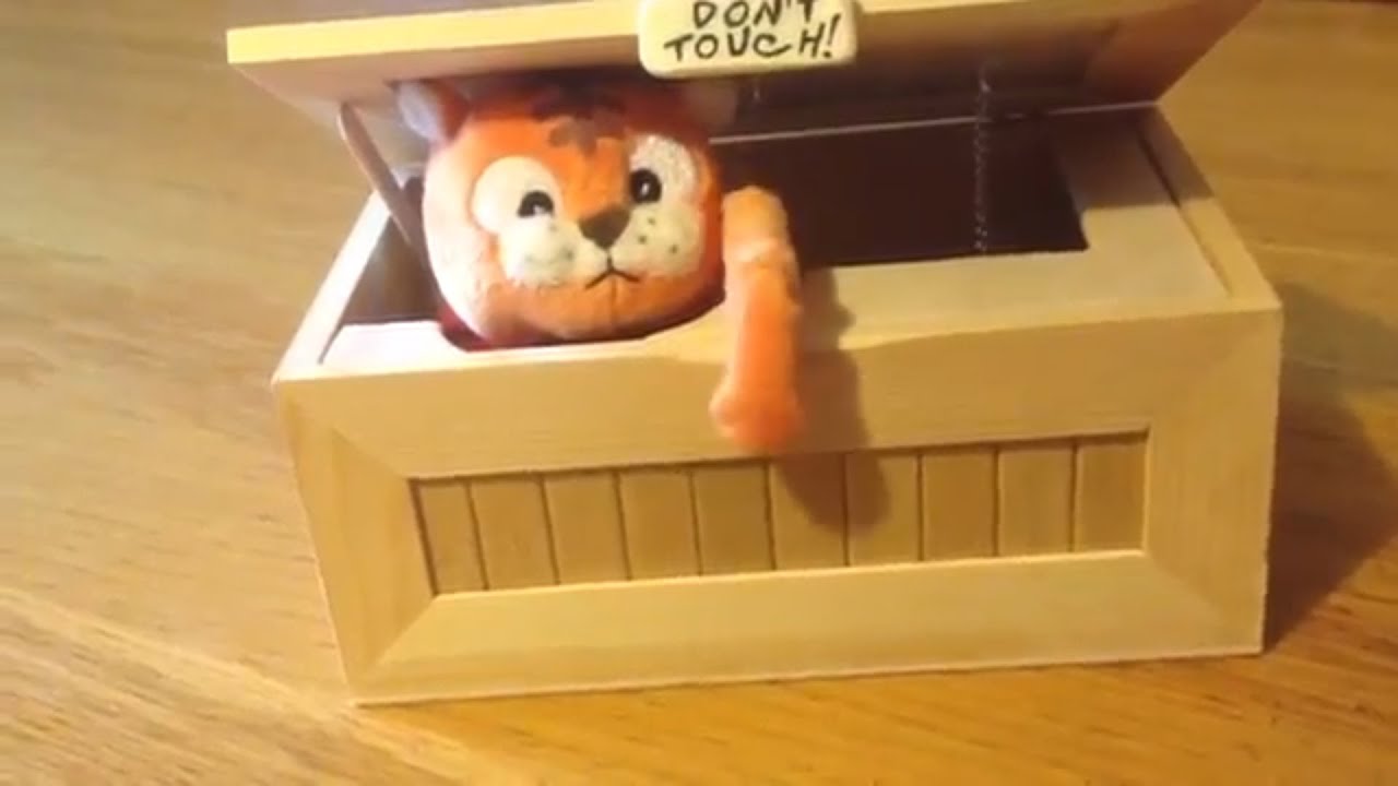 cat in a box toy