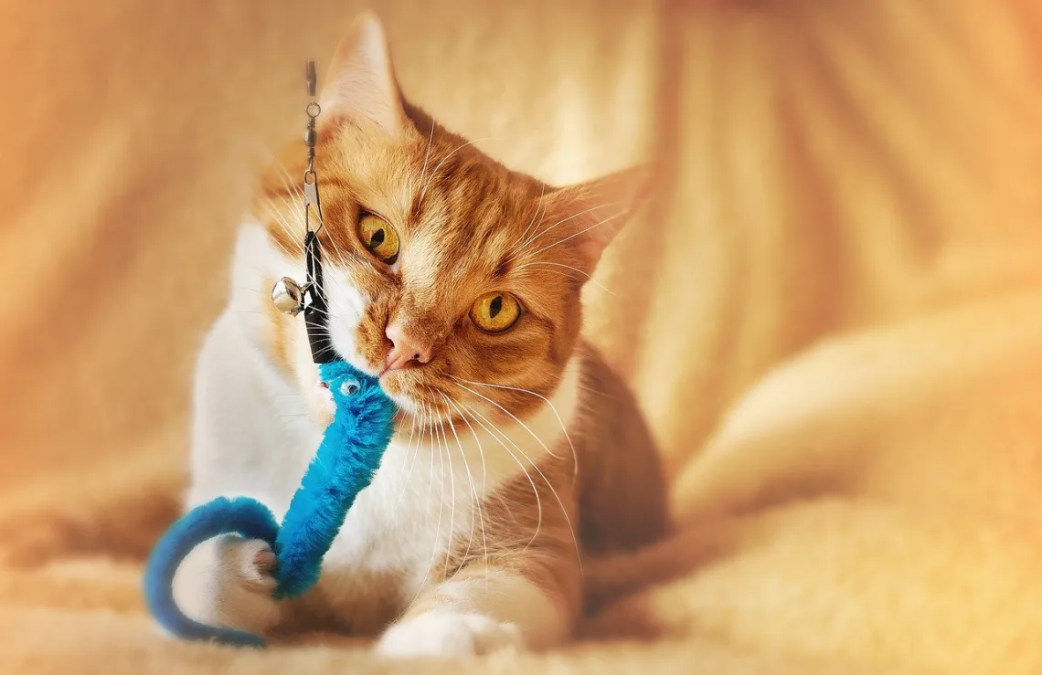 crochet cat  toy