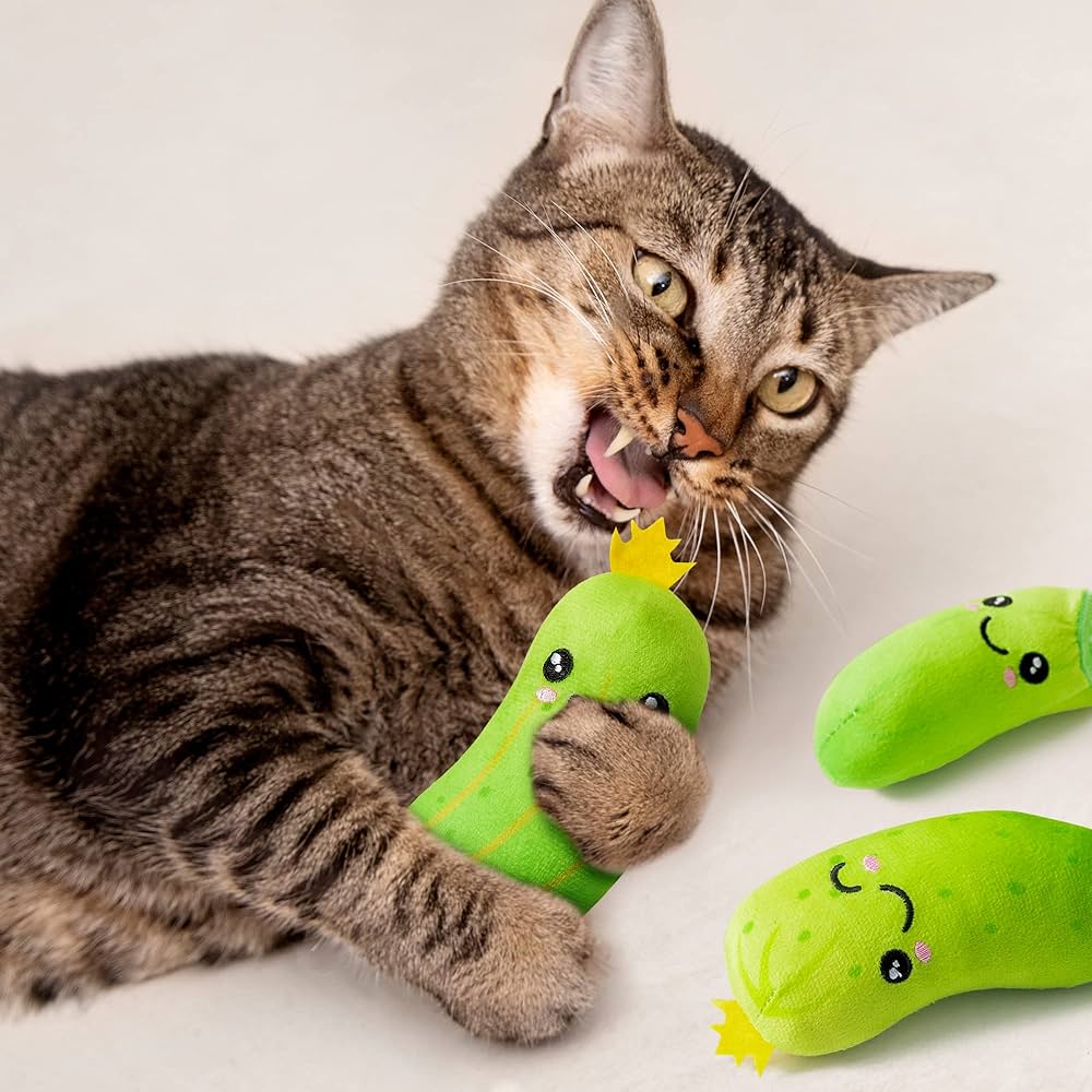 pickle cat toy