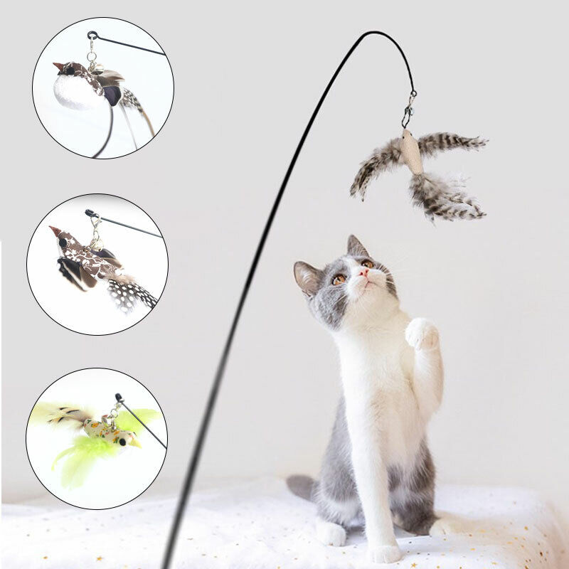 cat bird toy