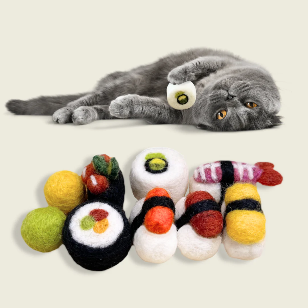 sushi cat toy