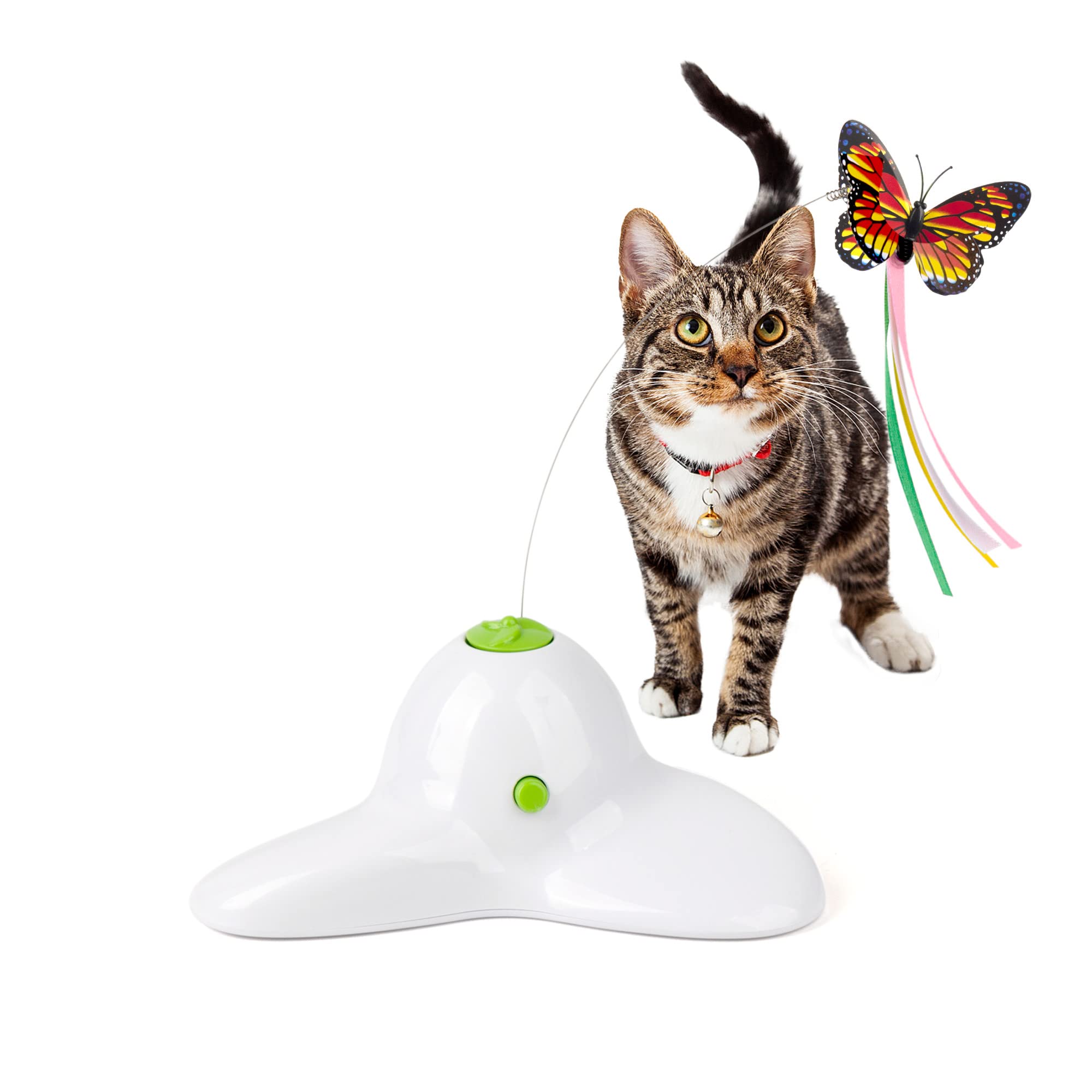 butterfly cat toy