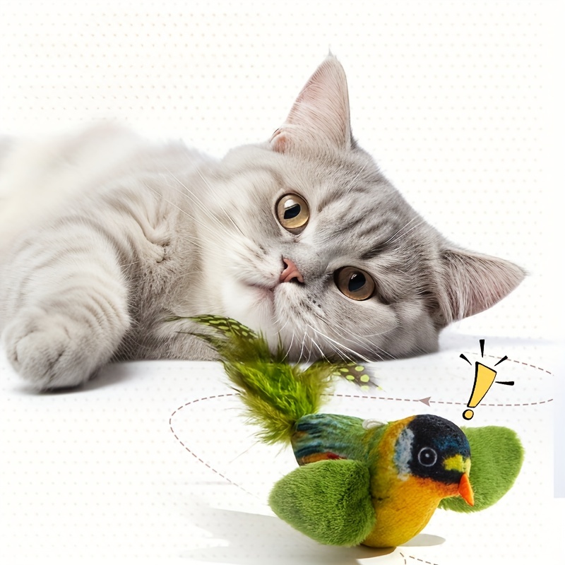 bird cat toy
