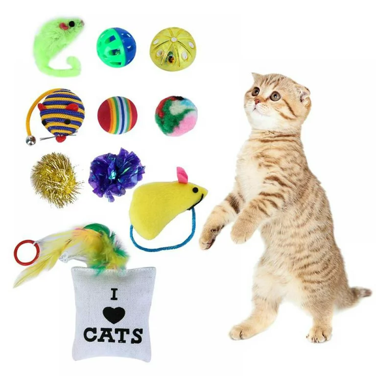 dog and cat toys