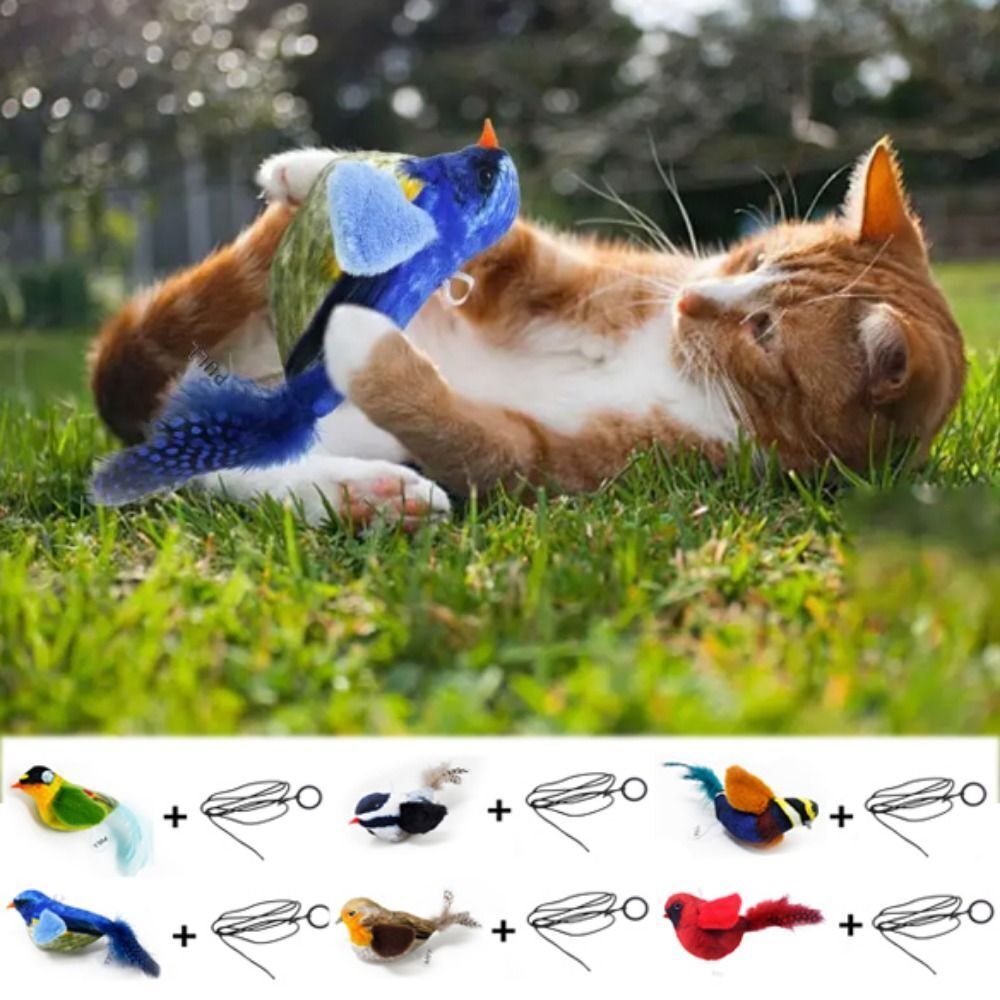 chirping bird cat toy