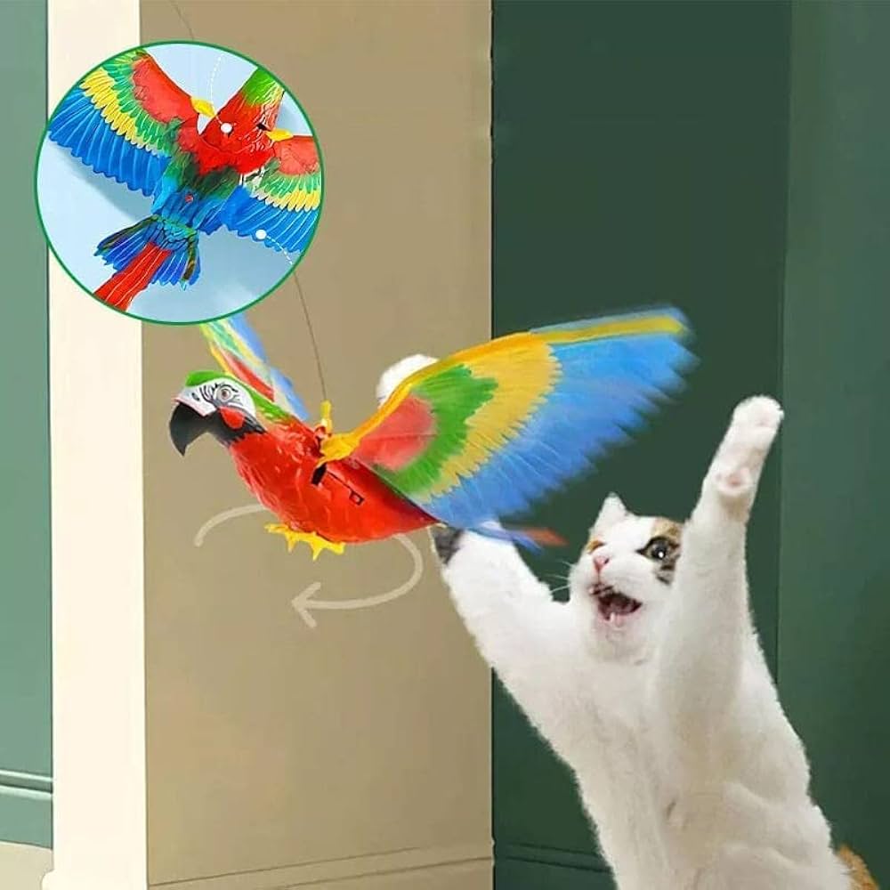 bird toy for cats