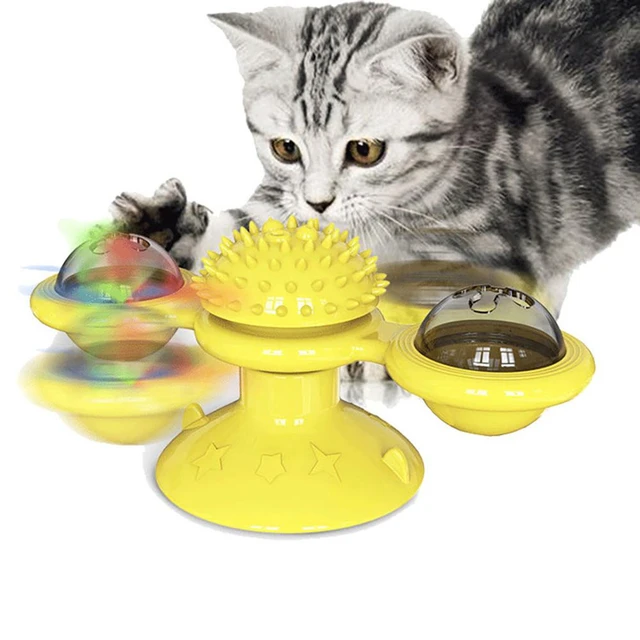 cat spin toy