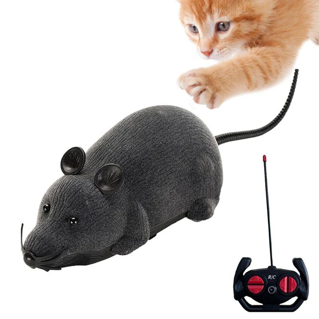 cat toy