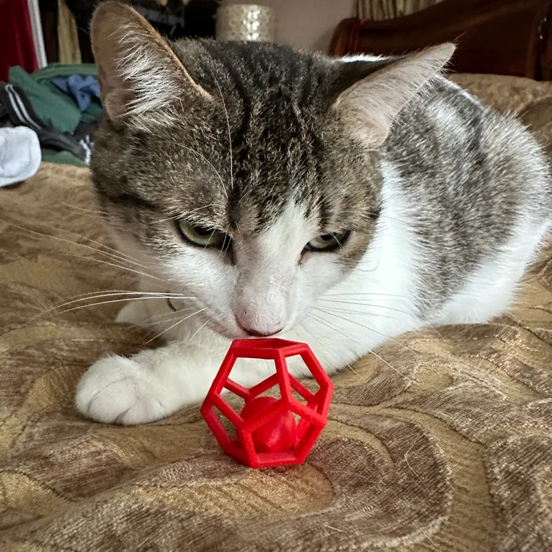 3d printed cat toys