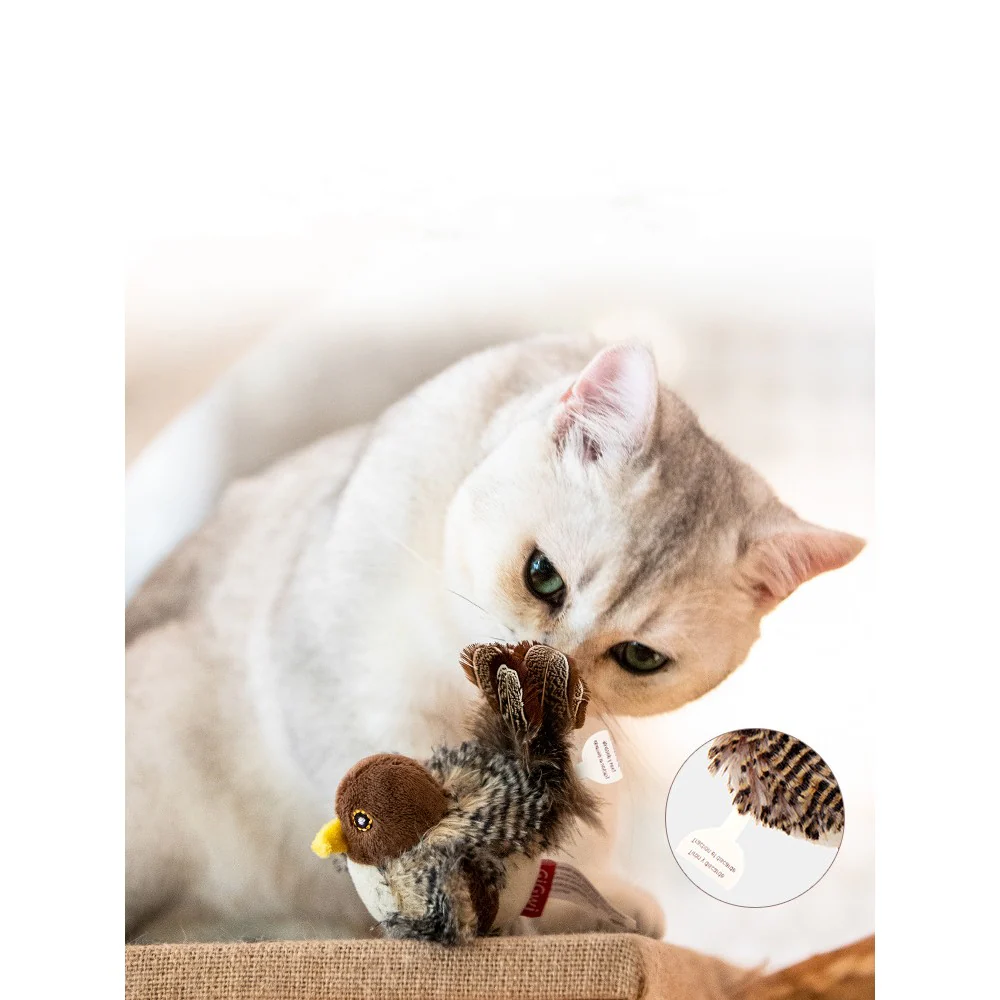 bird cat toy that chirps