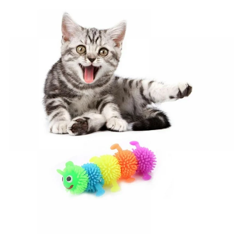 caterpillar cat toy