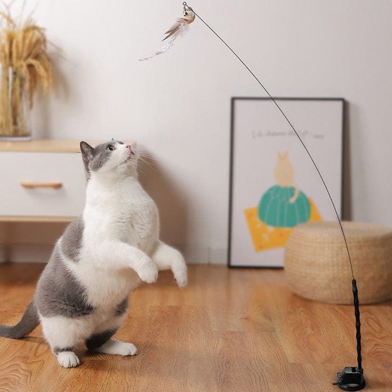 interactive bird toy for cats