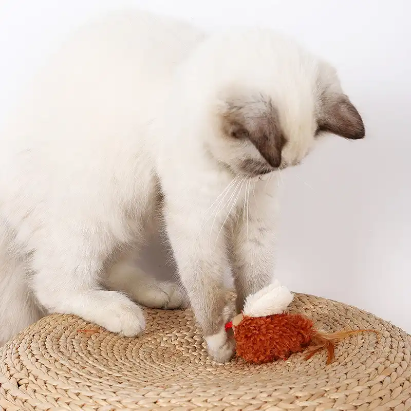 bird cat toy that chirps