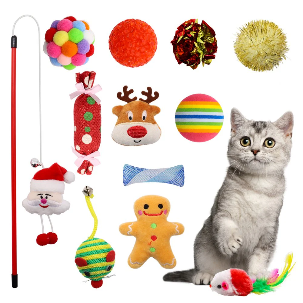 cat toys