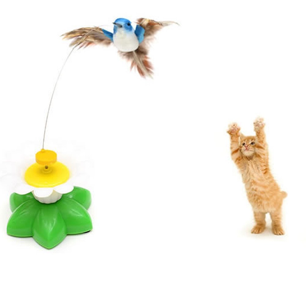 interactive bird toy