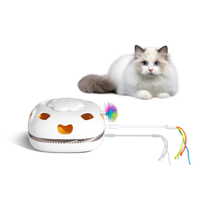 cat toy