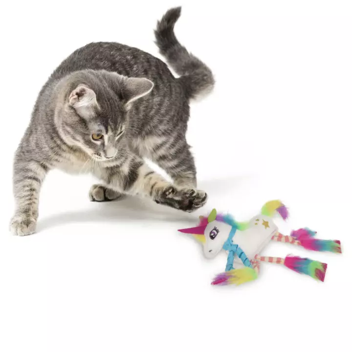 cat toy