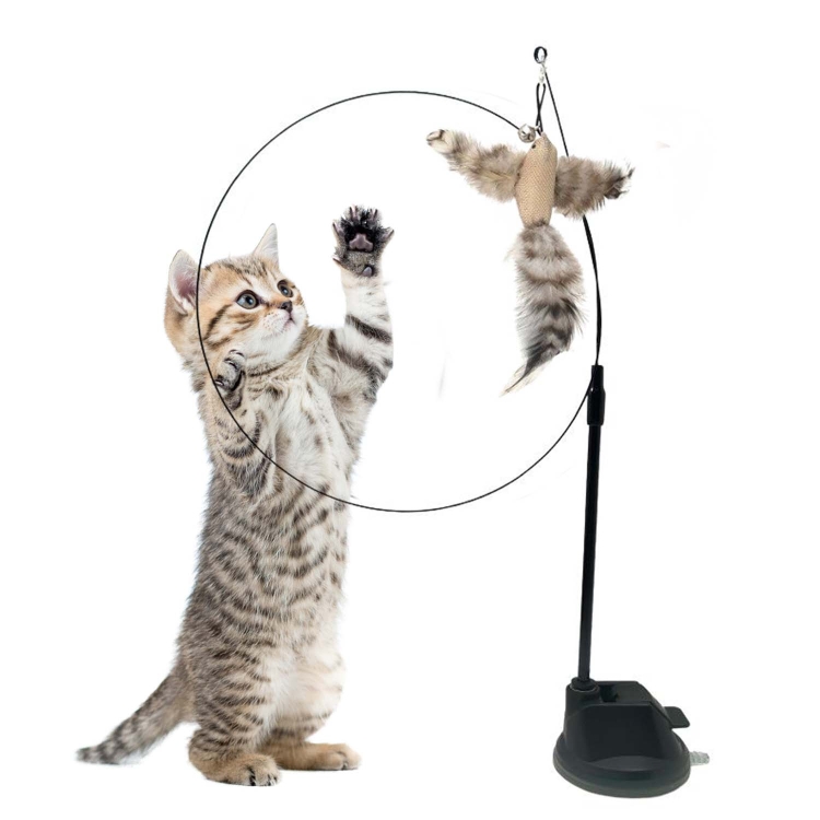 cat toy