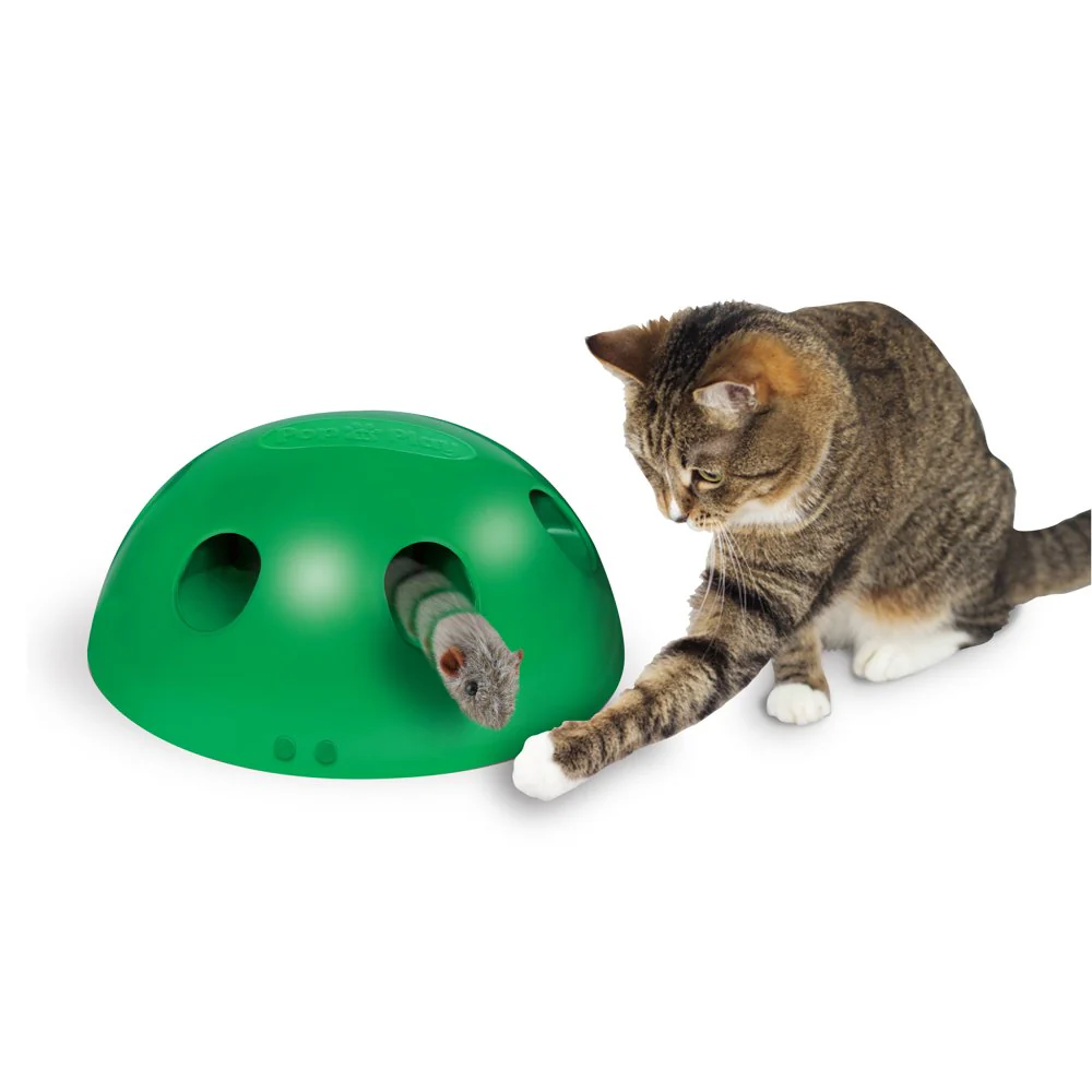 cat toy