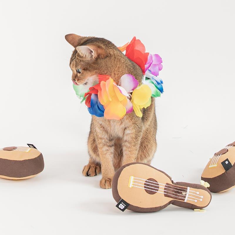 guitar cat toy