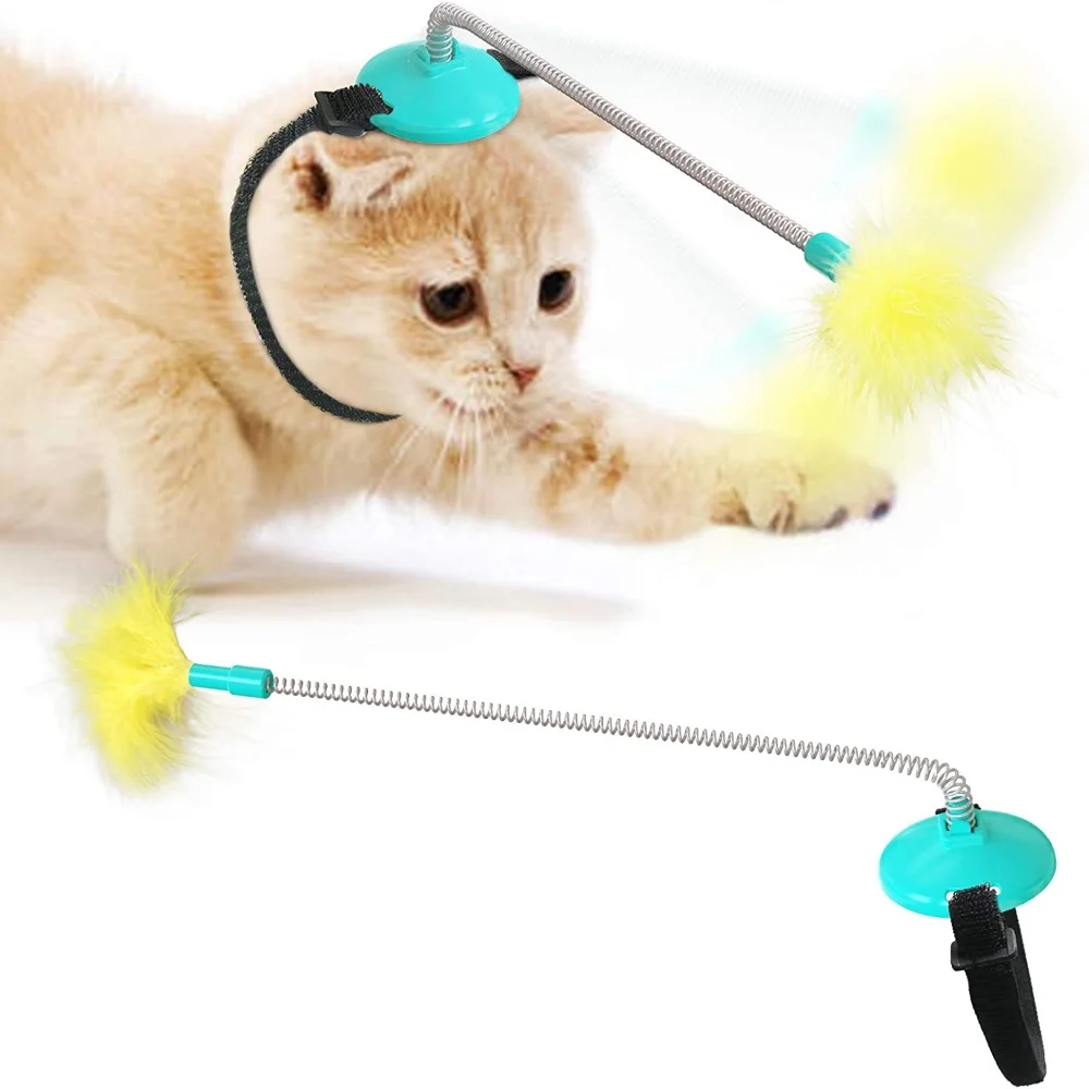 cat toy collar