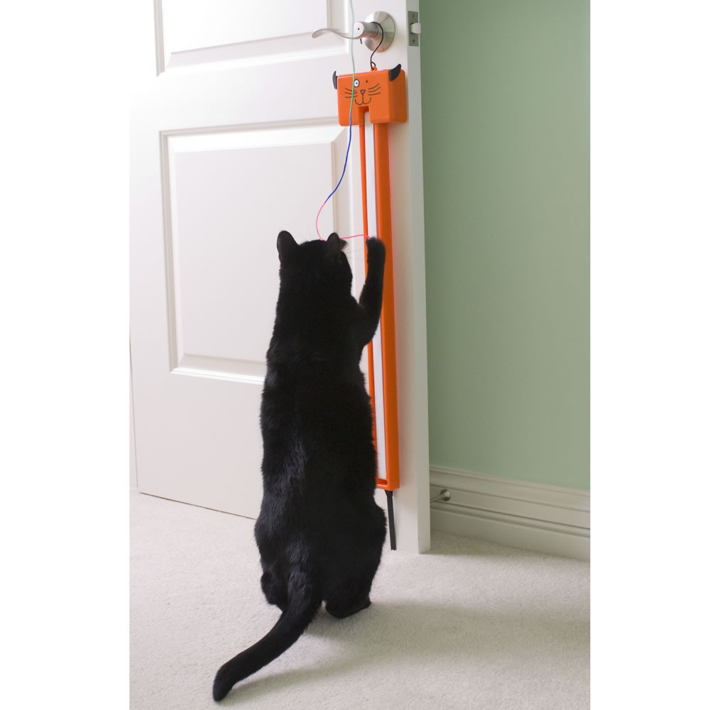 moody pet fling ama string cat toy