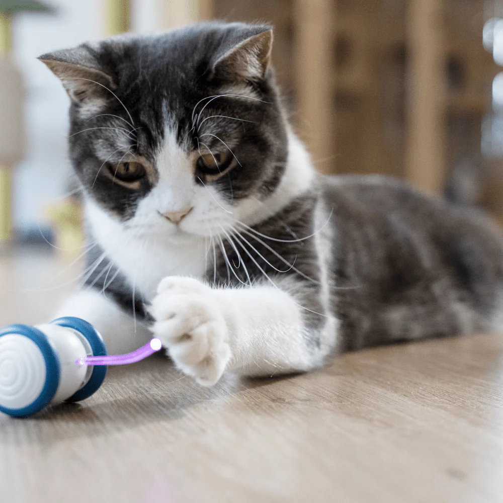 mouse robotic cat toy