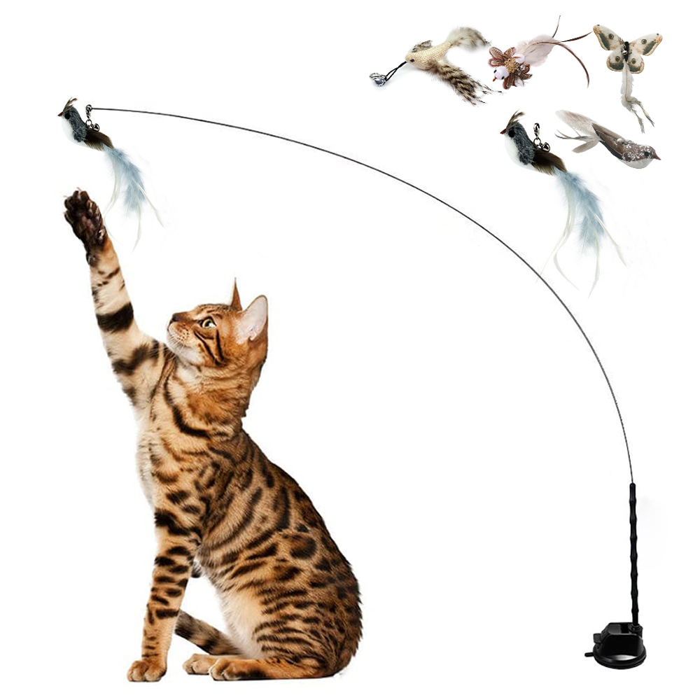 interactive bird cat toy