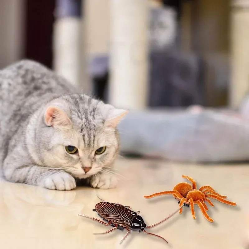 cat spider toy