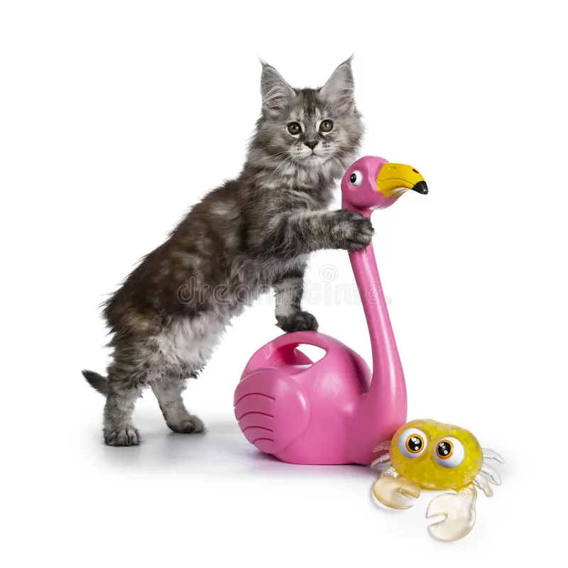 flamingo cat toy