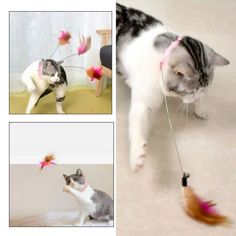 cat toy