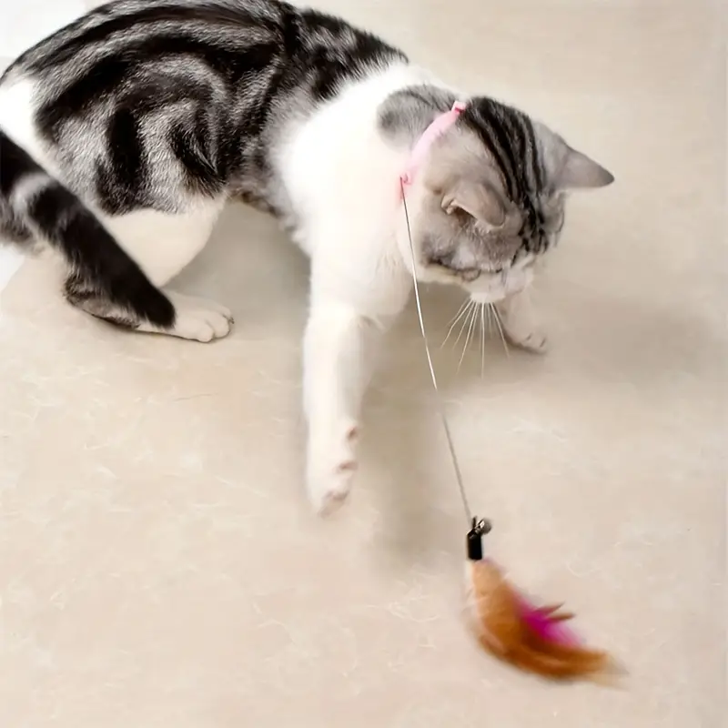 cat toy