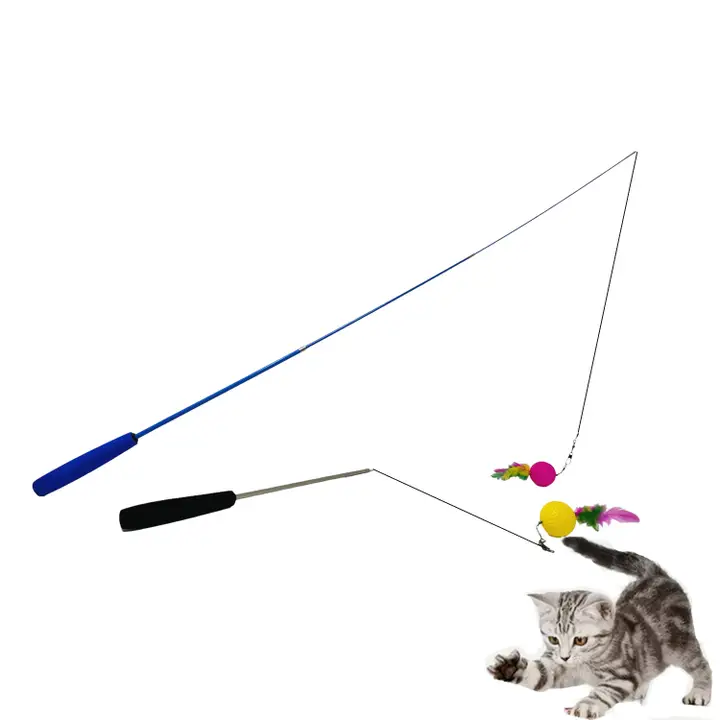 cat toy