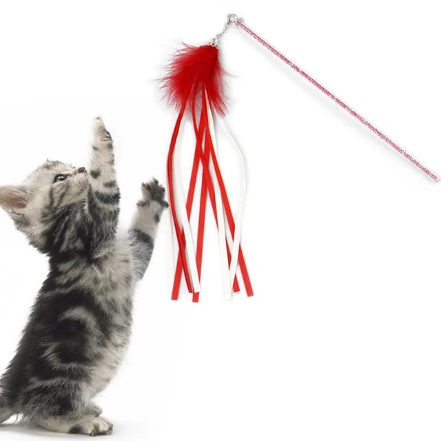 cat toy