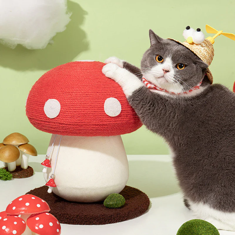 mushroom cat toy