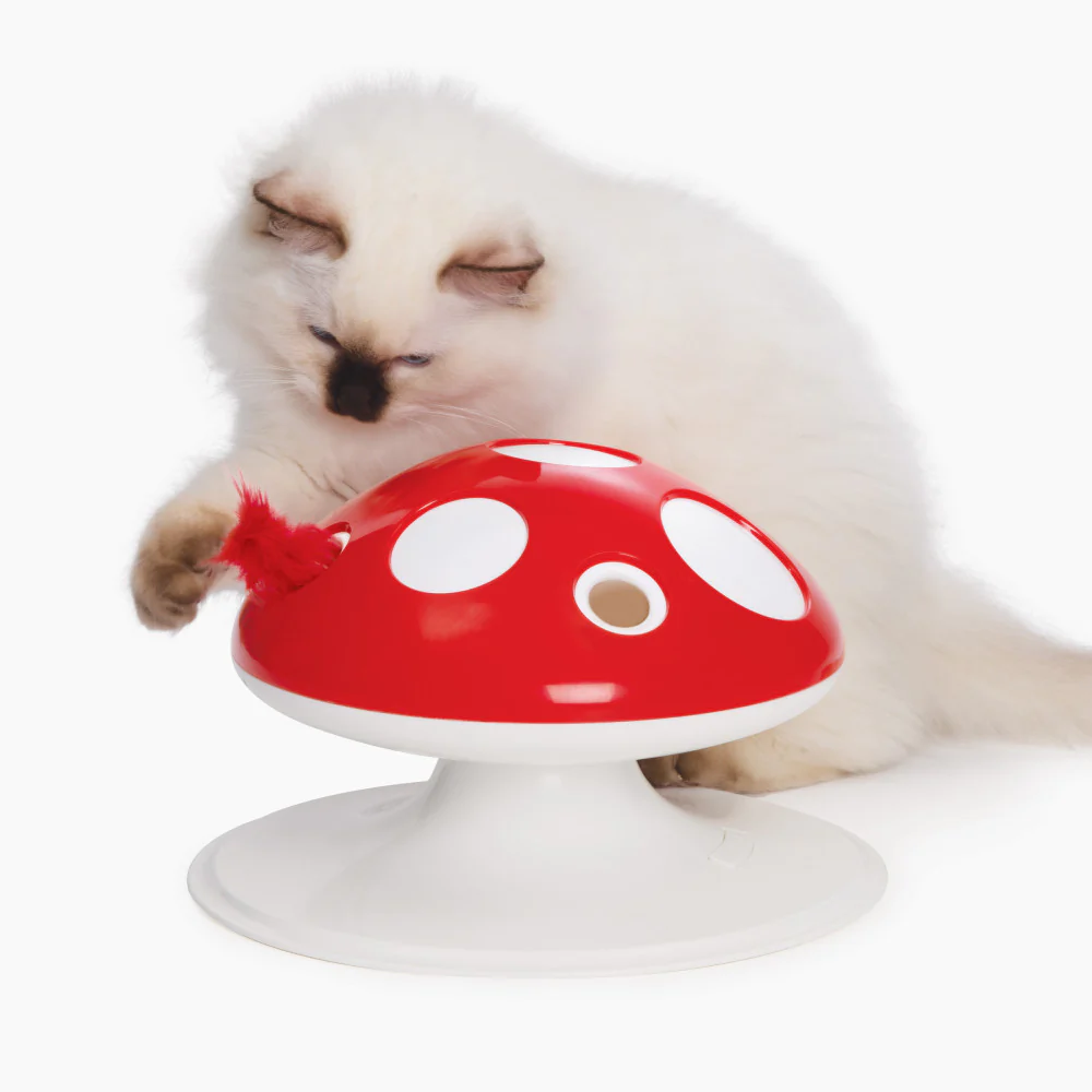 mushroom cat toy