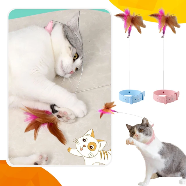 cat toys