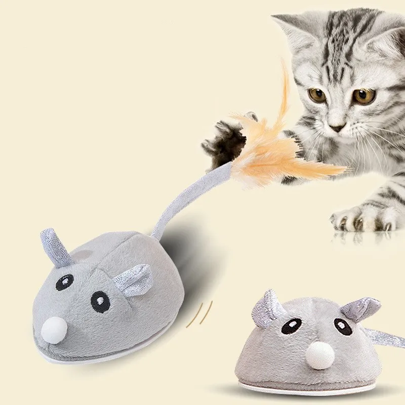 cat toy