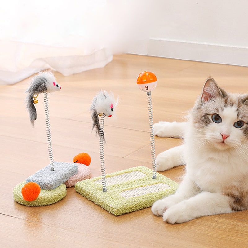 cat toy