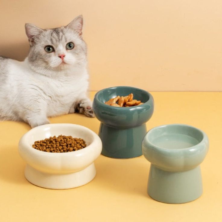 cute cat bowls