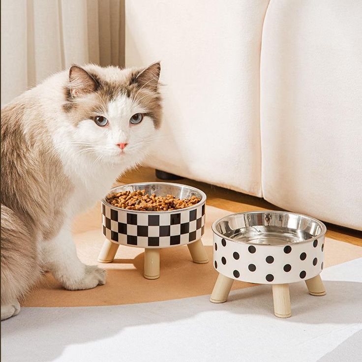 long-lasting cat food bowls